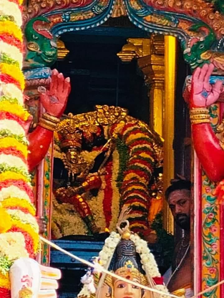 thirumayilai-kabaleecharam-panguni-peruvizha-2024